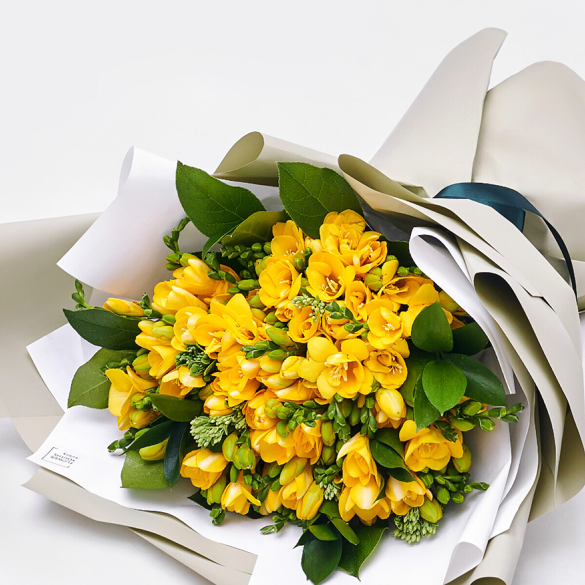 향긋한 봄, 프리지아