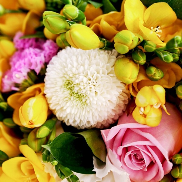 꽃집청년들,프리지아 분홍 계절꽃다발