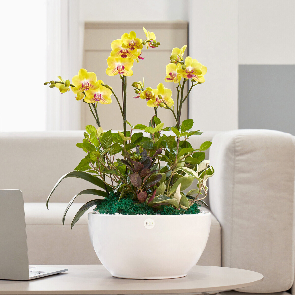 썬셋 클래식 2호