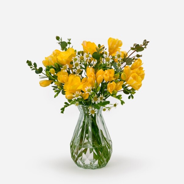 꽃집청년들,봄봄 프리지아