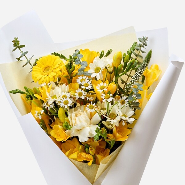 꽃집청년들,봄봄 프리지아