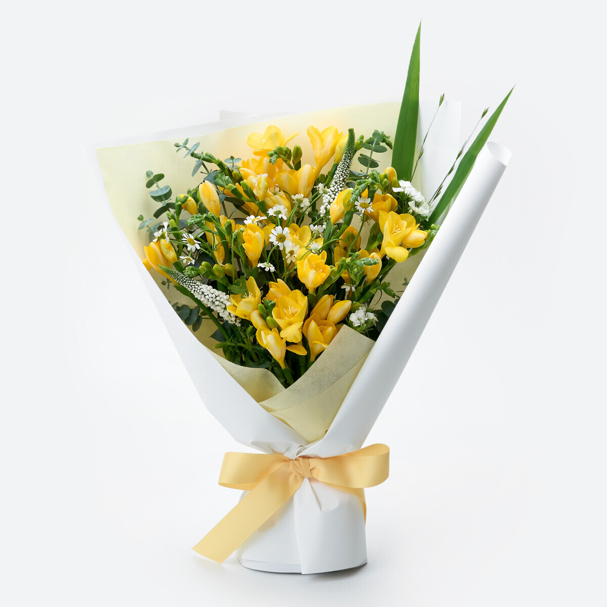 봄햇살 프리지아