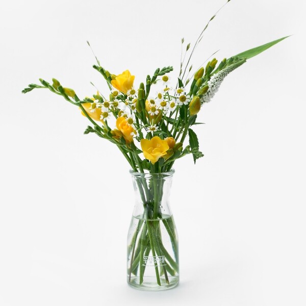 꽃집청년들,봄햇살 프리지아