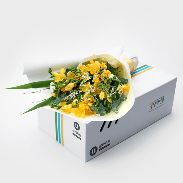 꽃집청년들,봄햇살 프리지아