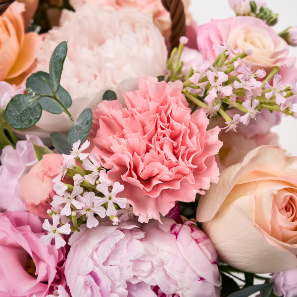 꽃집청년들,피치 파스텔(서울한정)