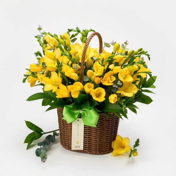 꽃집청년들,봄향기 솔솔~ 프리지아