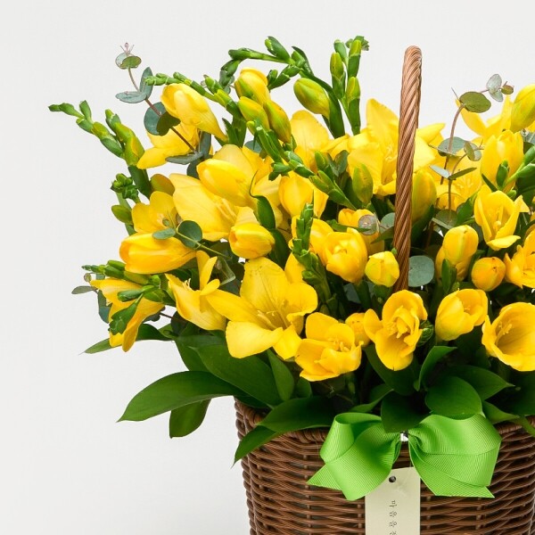 꽃집청년들,봄향기 솔솔~ 프리지아