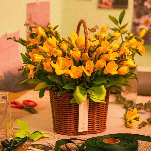 꽃집청년들,봄향기 솔솔~ 프리지아