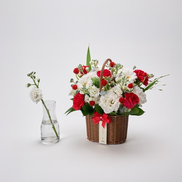 꽃집청년들,레드슈가