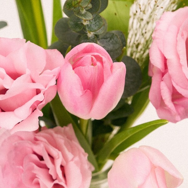 꽃집청년들,MIX 튤립