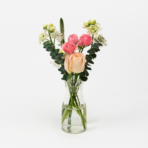 꽃집청년들,스토크 화이트 3대