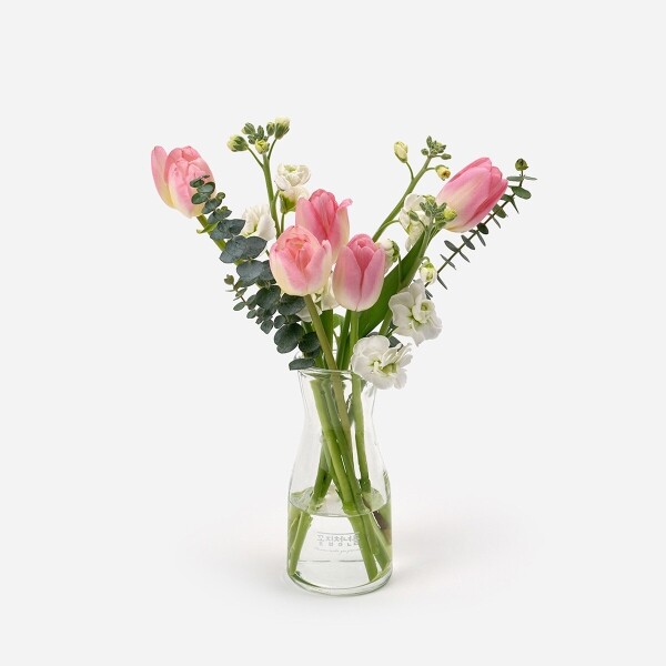 꽃집청년들,핑크 튤립 5대