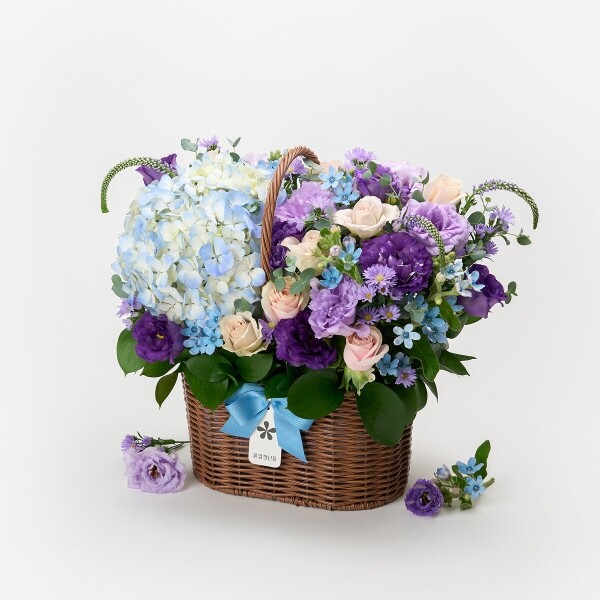 꽃집청년들,별이빛나는밤