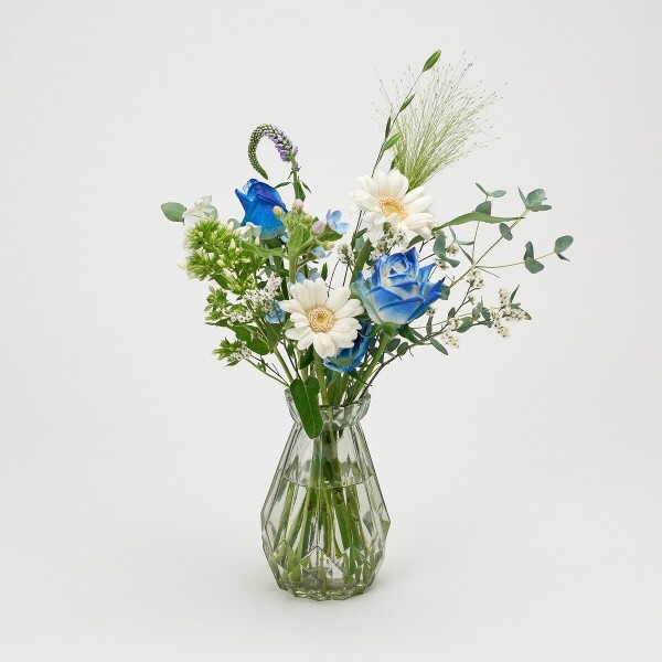 꽃집청년들,마이 유스, 딥블루