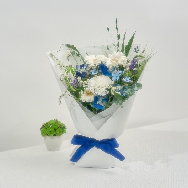 꽃집청년들,마이 유스, 딥블루