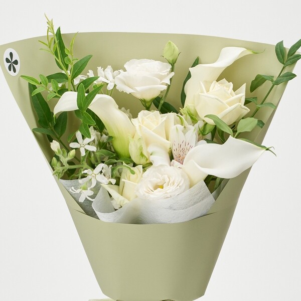 꽃집청년들,마이 유스, 위시