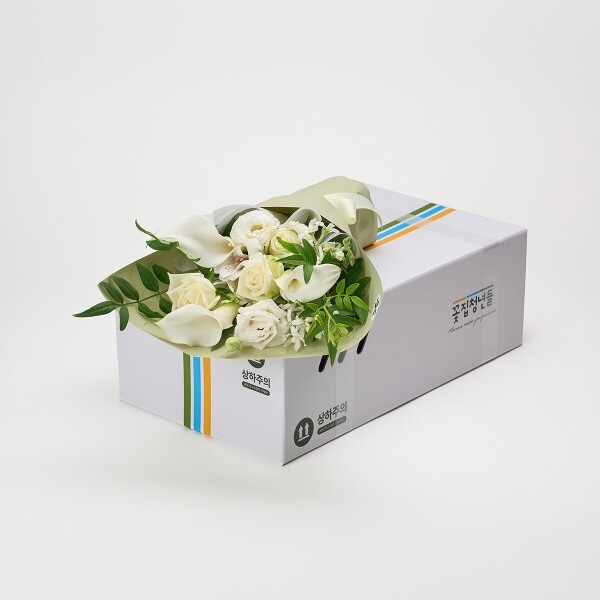 꽃집청년들,마이 유스, 위시