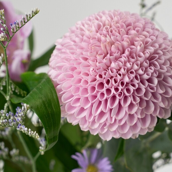 꽃집청년들,마이 유스, 헤이즈