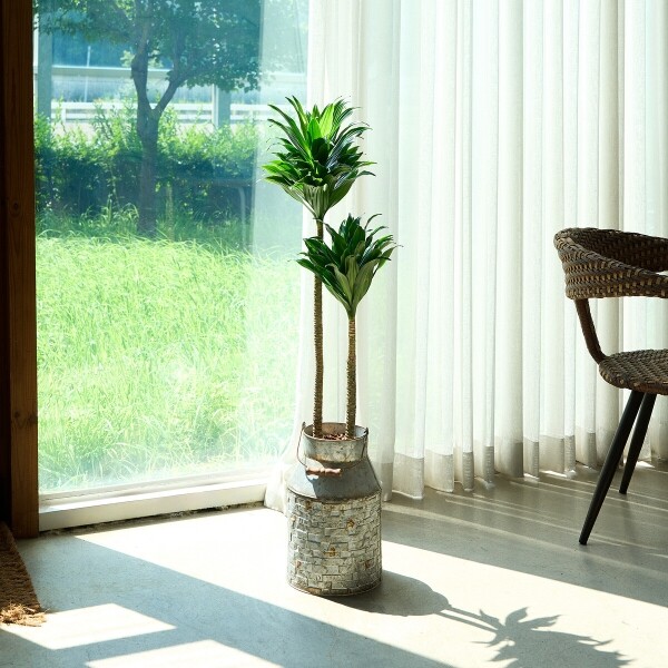 꽃집청년들,콤팩타 양동이 화분(서울한정)