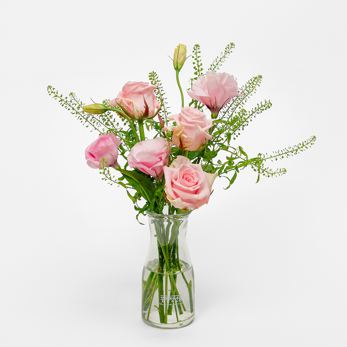 MIX S - 마이 유스 쿠폰 전용