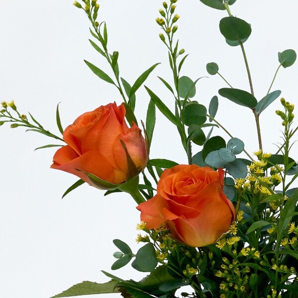 꽃집청년들,MIX S - 마이 유스 쿠폰 전용