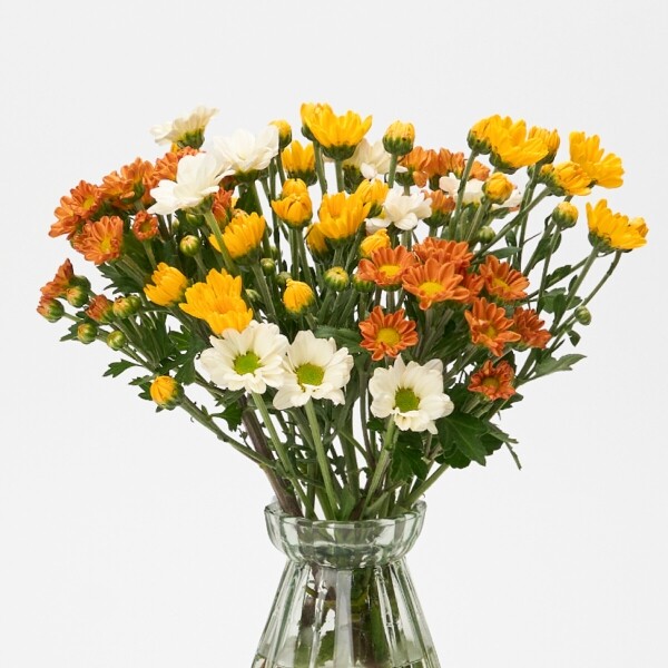 꽃집청년들,MIX 옐로우소국