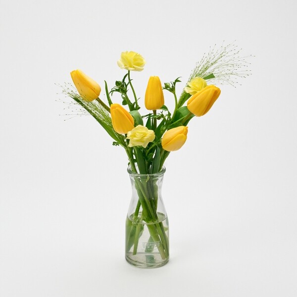 꽃집청년들,옐로우 튤립 5대