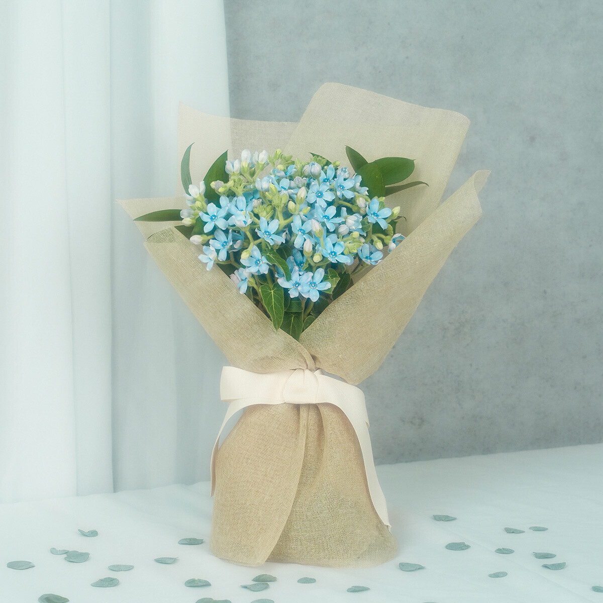 마이 유스, 리멤버