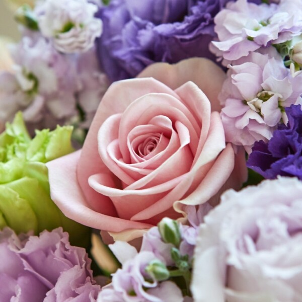 꽃집청년들,여자친구 선물, 생일 꽃다발, 출산 꽃바구니, 전국 꽃배달 서비스, 당일 꽃 배달, 결혼기념일