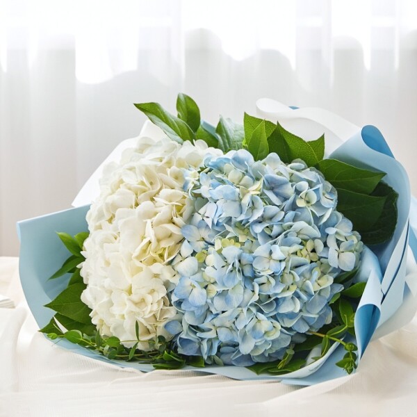 꽃집청년들,여자친구 감동 선물, 결혼기념일 꽃바구니, 생일 꽃다발, 전국 당일 꽃배달 서비스, 고백, 프로포즈