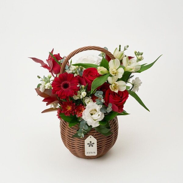 꽃집청년들,X-mas 메리 레드