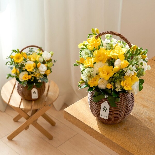 꽃집청년들,프리지아 시즌 꽃바구니