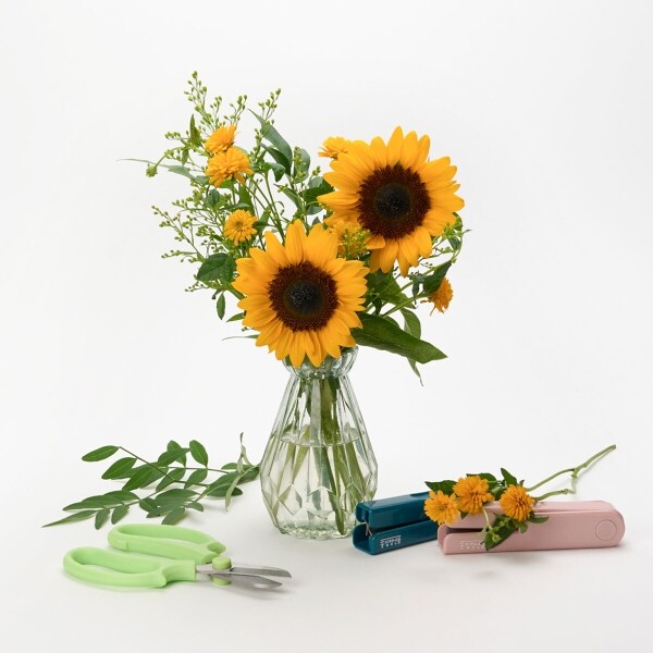 꽃집청년들,MIX 해바라기