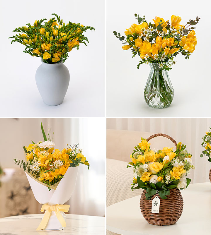 프리지아와 잘 어울리는 꽃, 꽃다발, 꽃바구니