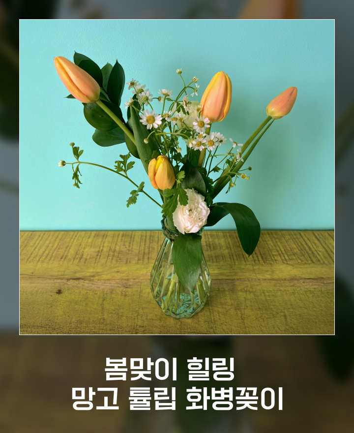 봄맞이 봄꽃 튤립 화병꽂이 하는 법