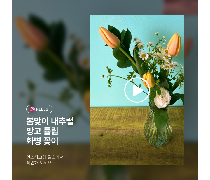 인스타그램-DIY꽃시장 망고 튤립 화병꽂이