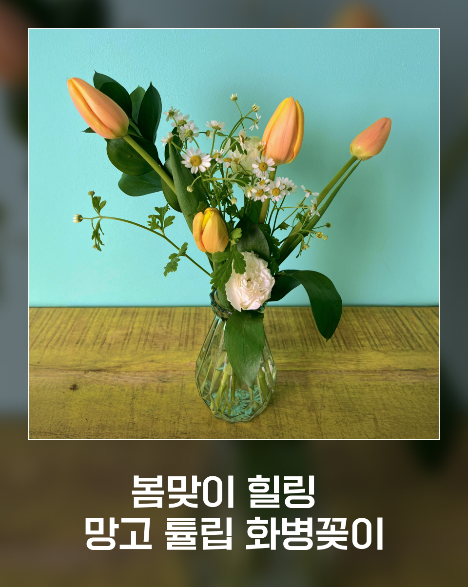 봄맞이 봄꽃 튤립 화병꽂이 하는 법
