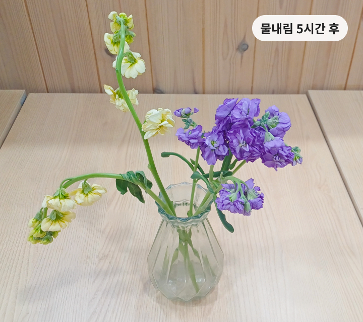 스토크 실험 물내림 5시간 후 모습