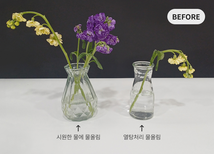 바로 찬물이 담긴 화병에 바로 옮겨주세요.