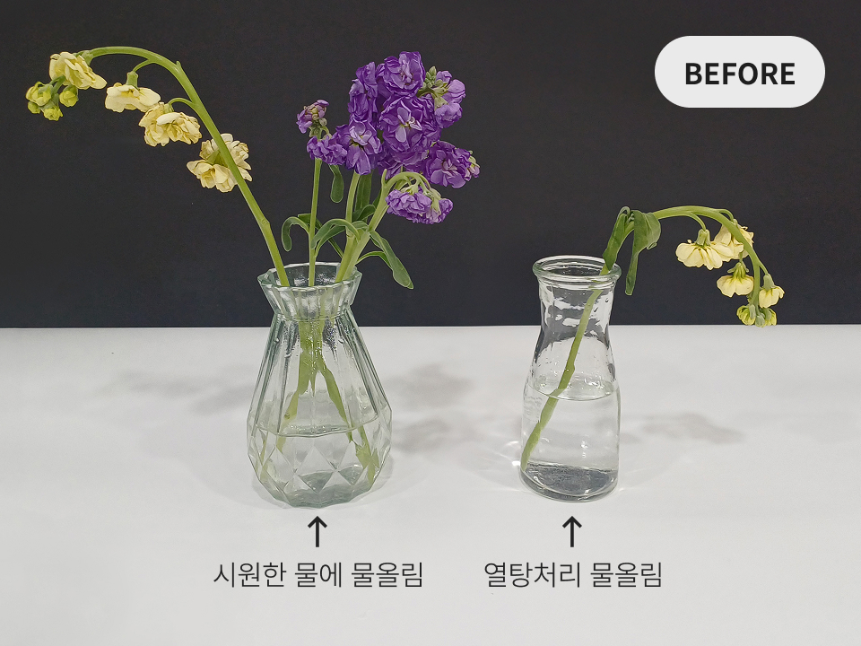 바로 찬물이 담긴 화병에 바로 옮겨주세요.