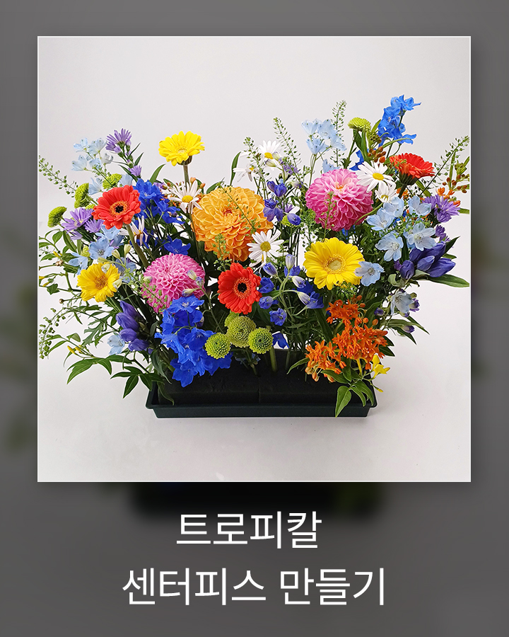 DIY 꽃시장 가이드