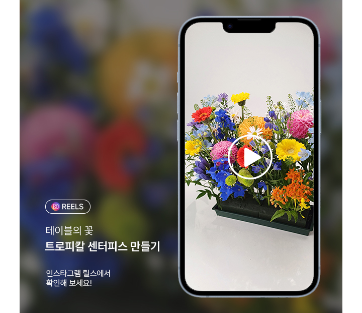 내 손으로 직접 만드는 여름 트로피칼 센터피스 만들기