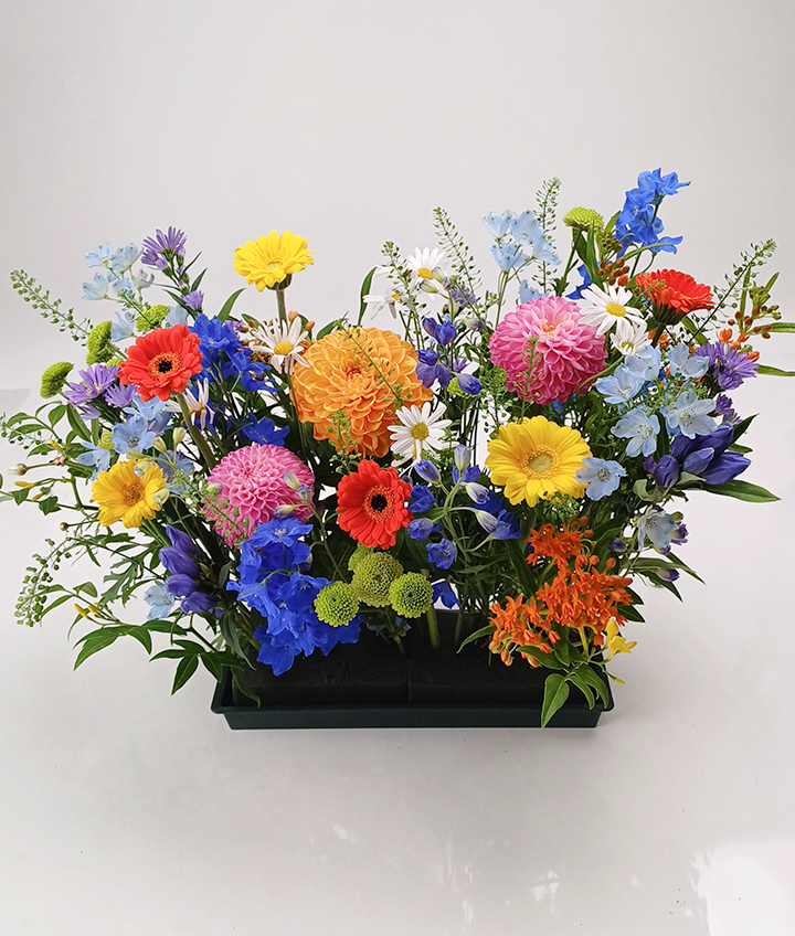 여름 사방화, 트로피칼 센터피스 완성