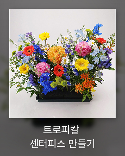 DIY 꽃시장 가이드