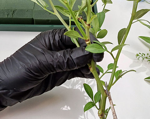 DIY 꽃시장 트로피칼 센터피스 꽃꽂이