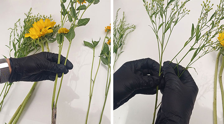 해바라기꽃다발 꽃 그린소재 컨디셔닝