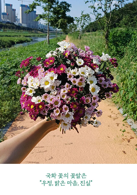 꽃집청년들 소국꽃바구니 만들기