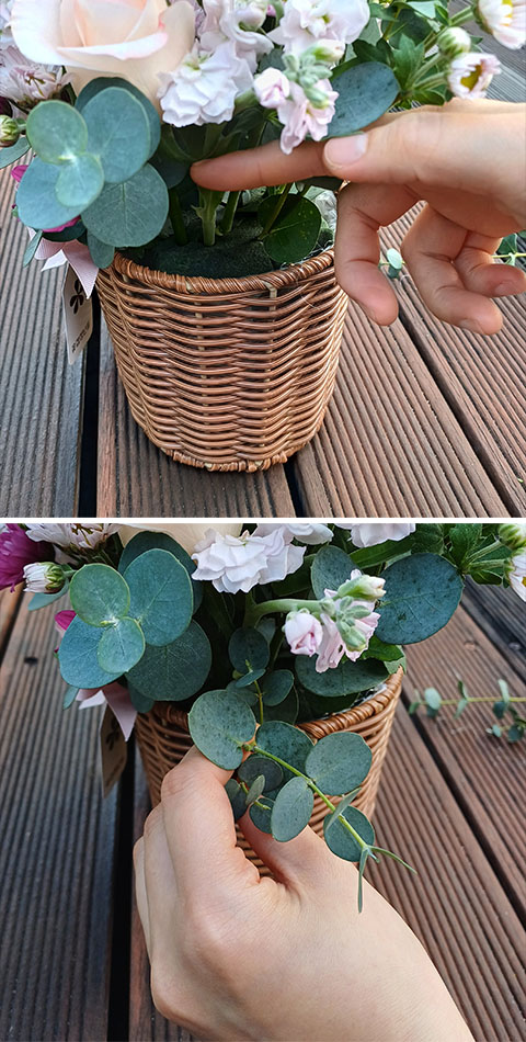 마지막으로 빈 공간에 그린소재, 유칼립투스를 꽂아 주세요